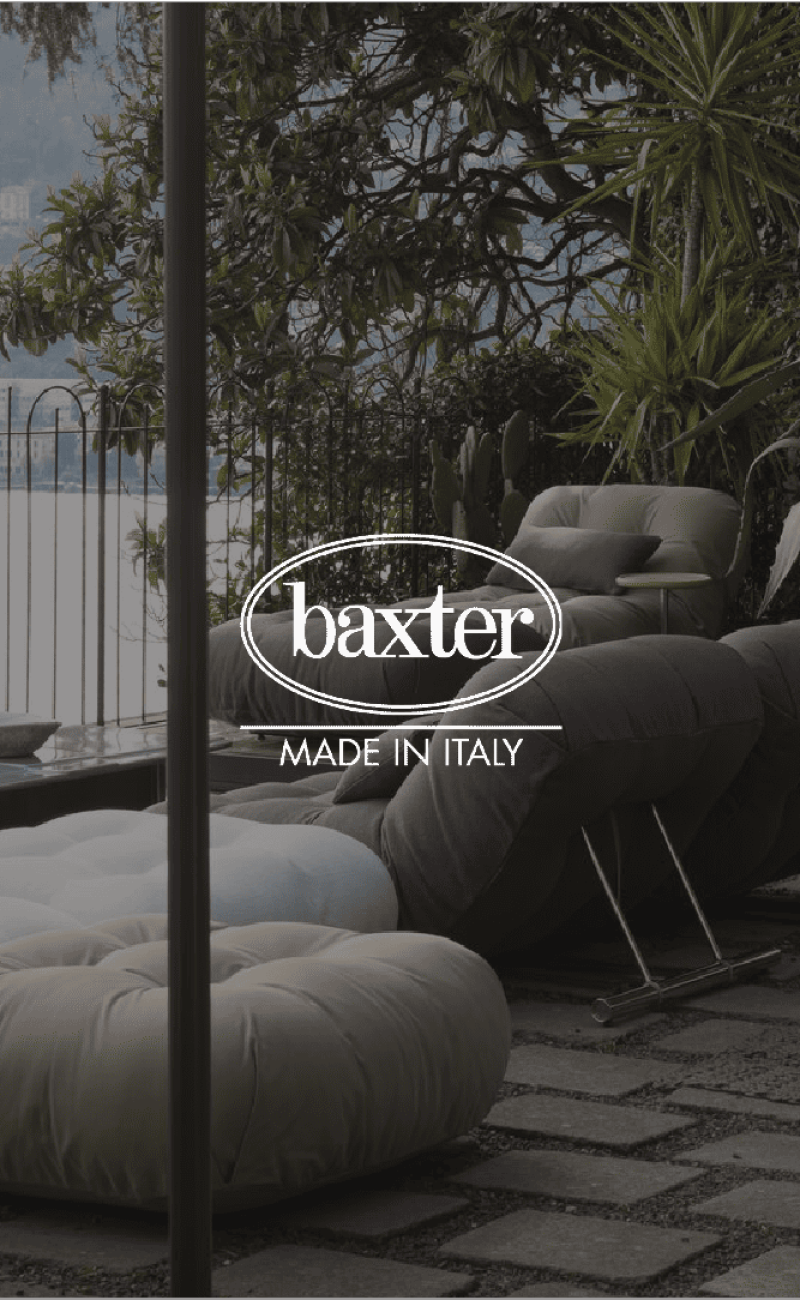 2. Baxter banner (2)